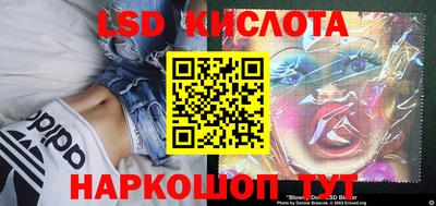a pvp Заводоуковск