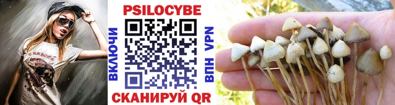 Галлюциногенные грибы MAGIC MUSHROOMS  цена наркотик  Назарово 